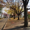 P1020326