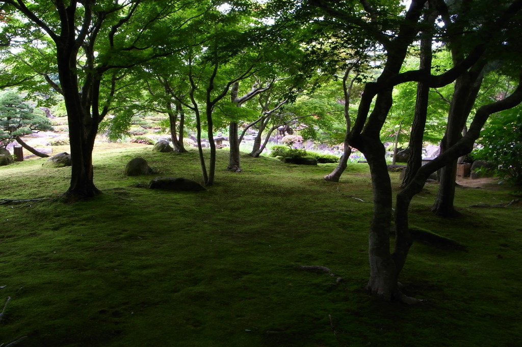 初夏の庭園