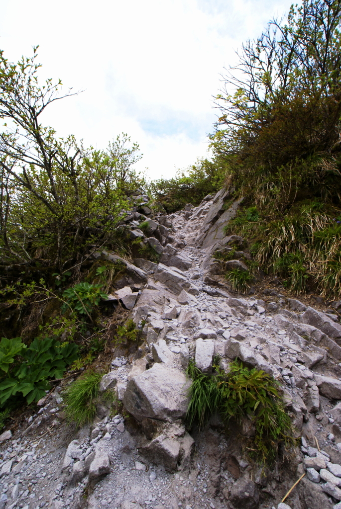 大山登山　④