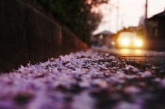 雨上がりの夕暮れ