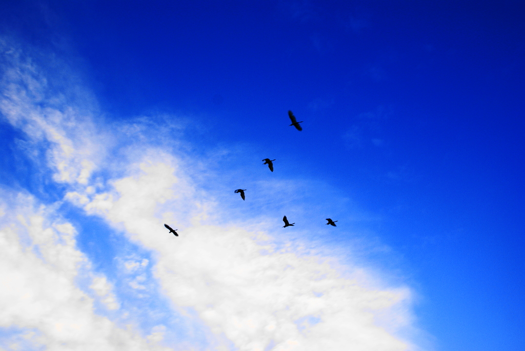 空【sora】
