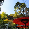 書写山円教寺2009　-2-