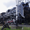 D51 486