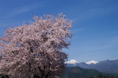 常念岳・横通岳と