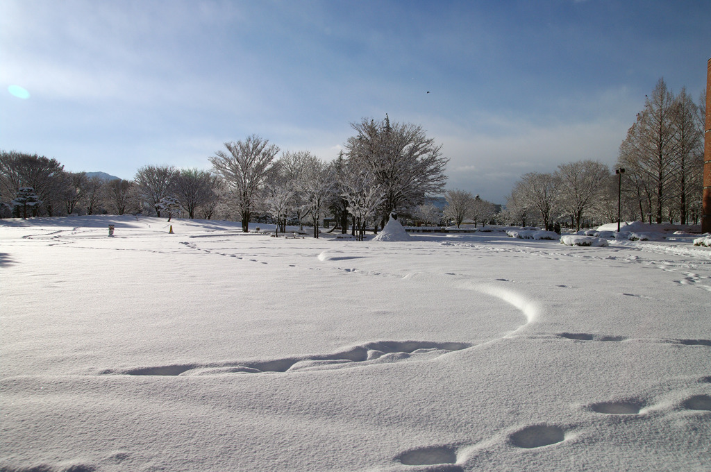 雪野原