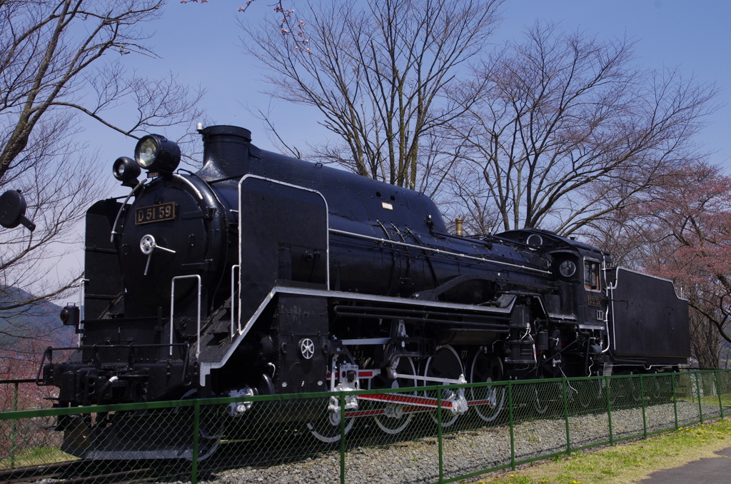 D51 59