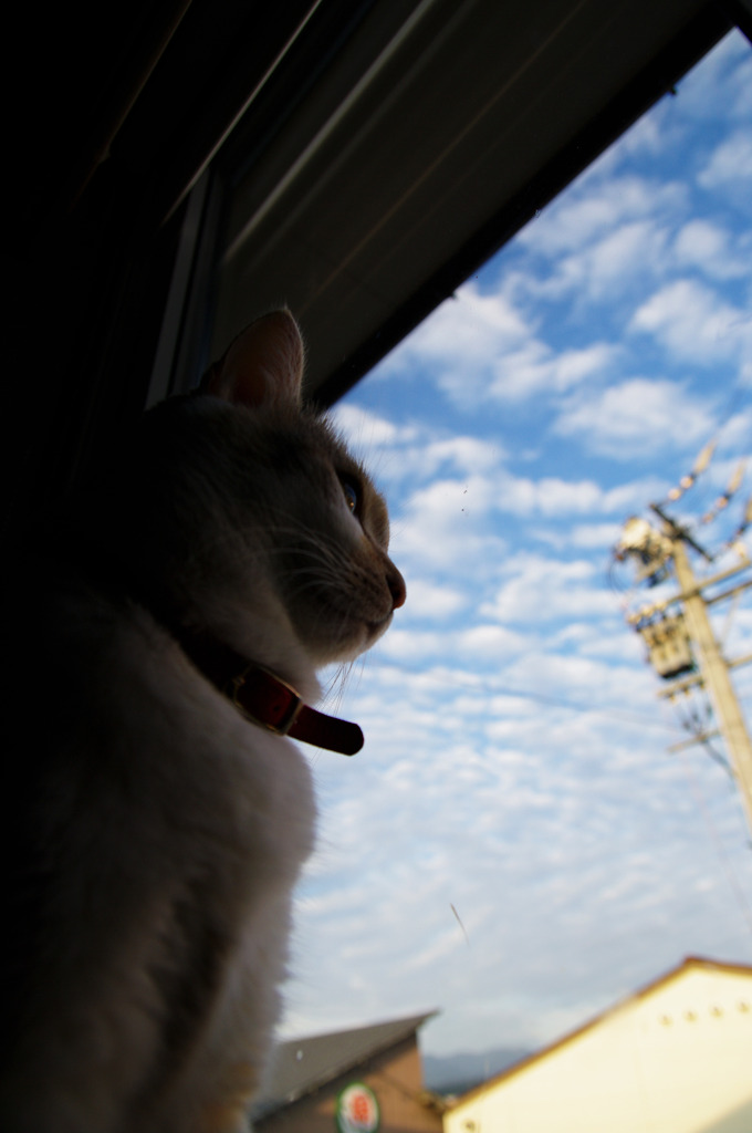 ♀ゴコロと秋の空_Ⅱ