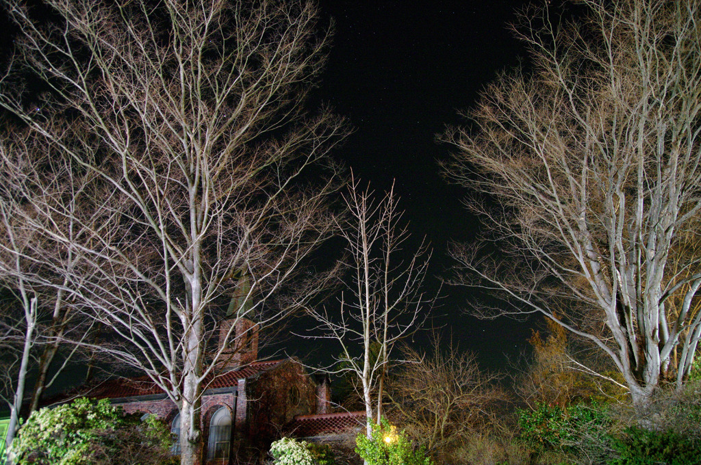 夜の碌山美術館