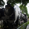 D51 549