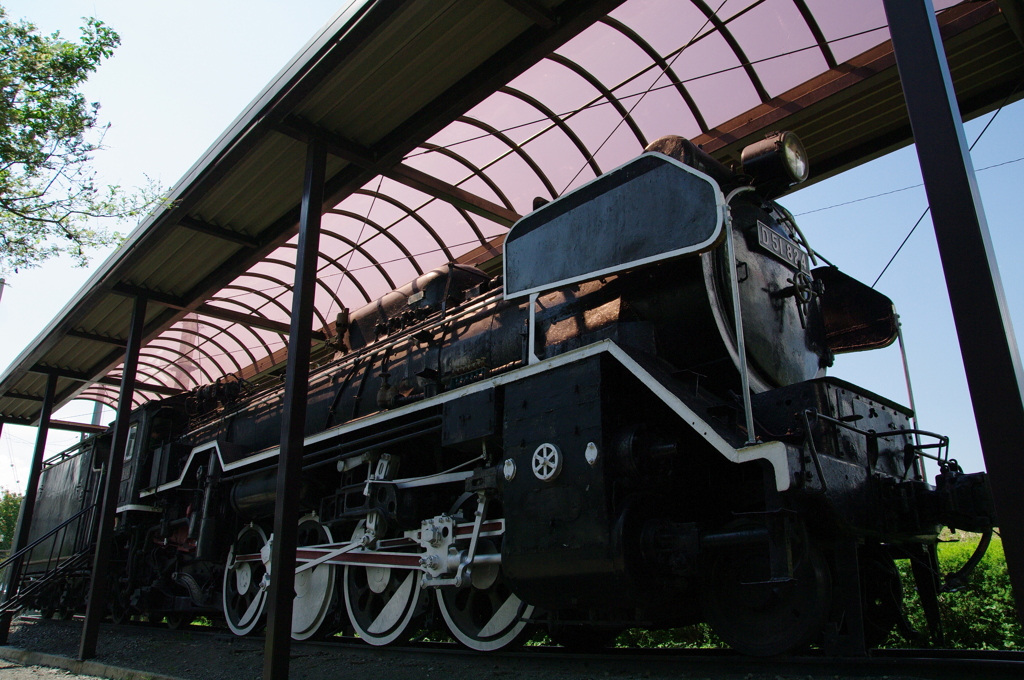 D51 824