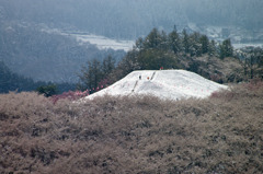 桜祭りが雪祭り