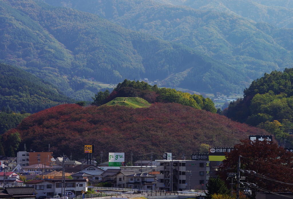桜山の秋