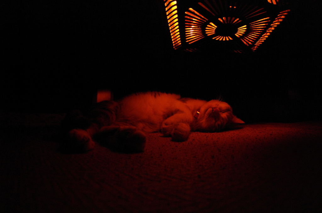 KOTATSU 　(another name：OKOTA)