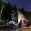 D51 401