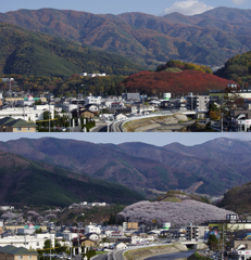 紅葉山と桜山