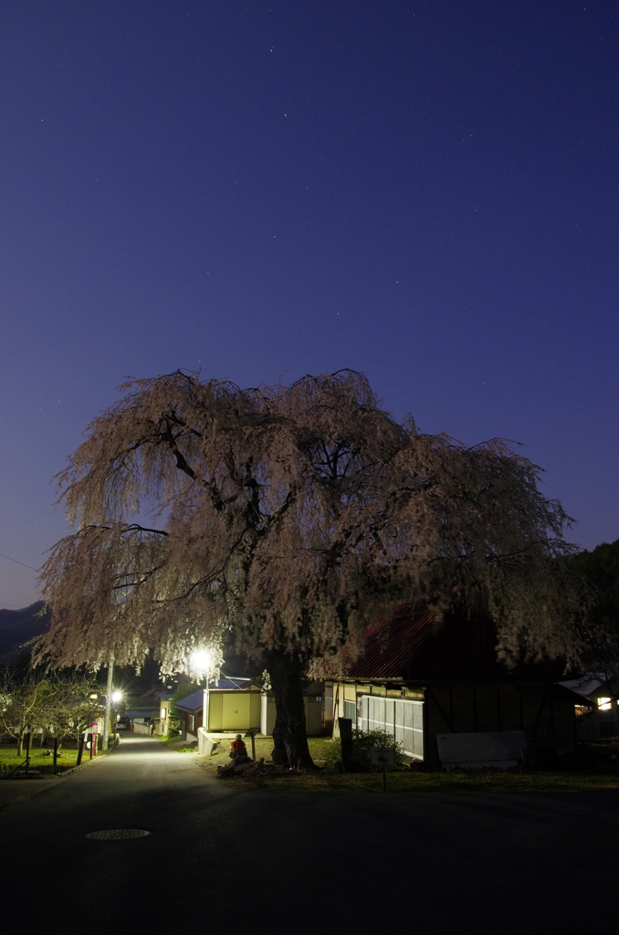 中塩のしだれ桜と北斗