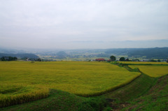 北信濃の田風景