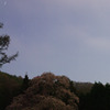 赤和観音のしだれ桜