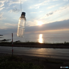 夕焼けの光、おすそわけ