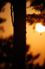 夕焼け