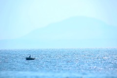 hakodate