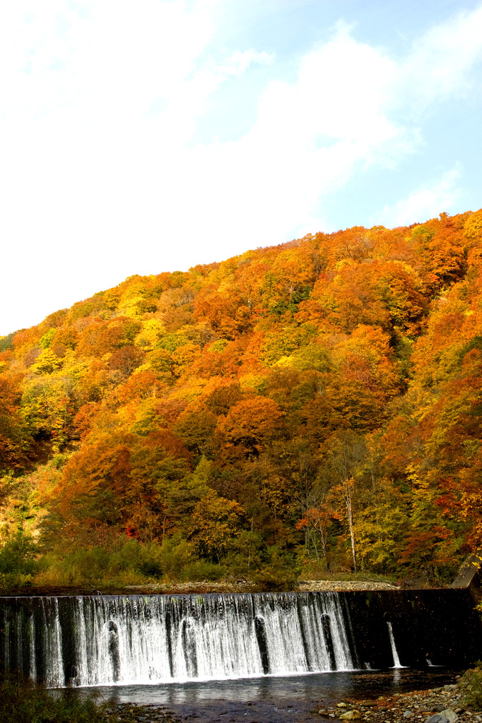 autumn