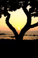 HAWAII WAIKOLOA