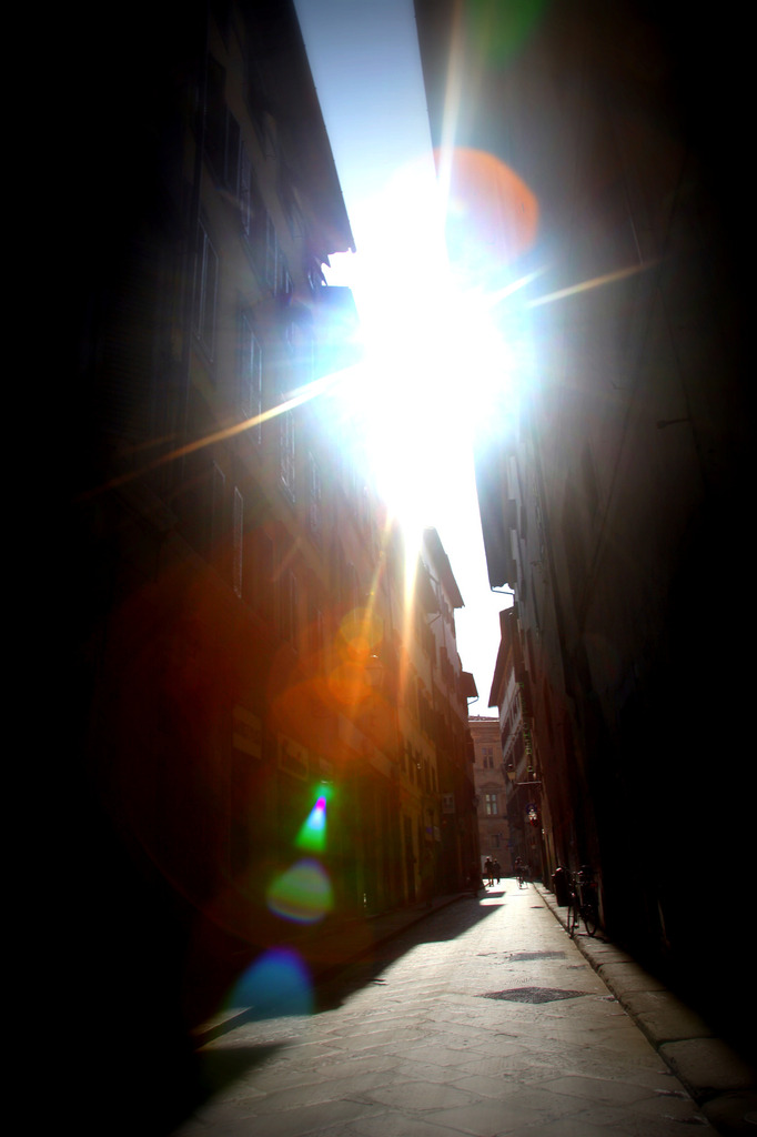 Shine