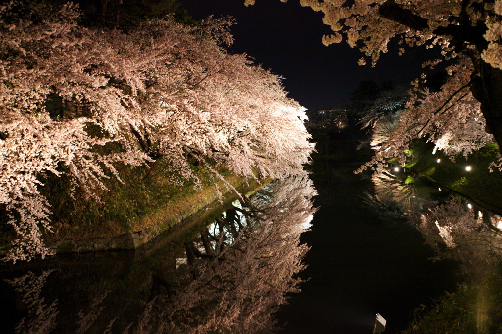 弘前夜桜