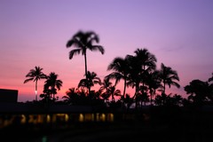 Waikoloa village