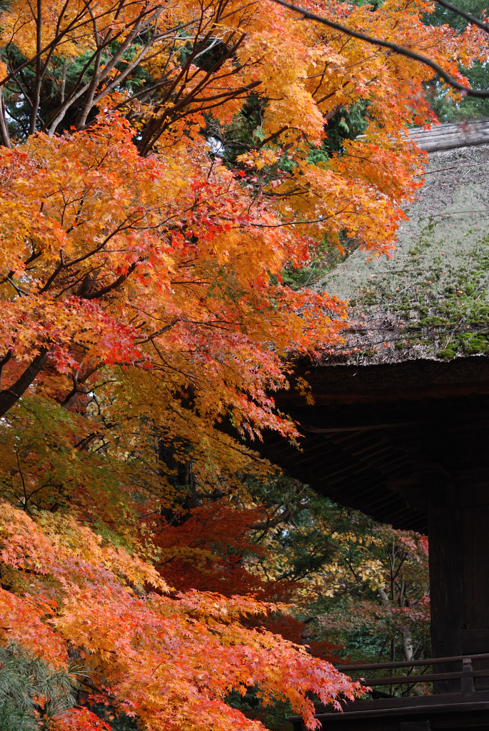 平林寺　＃２