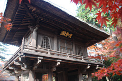 平林寺　＃19