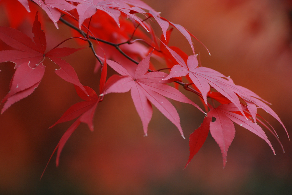 平林寺　＃５