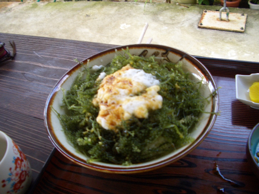 海ぶどう丼!!