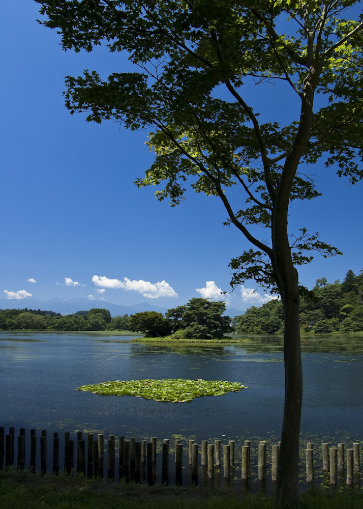 夏日