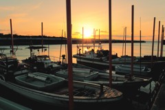 The Sunset 