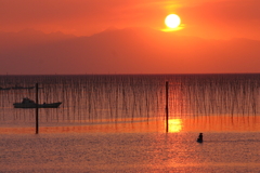 有明海