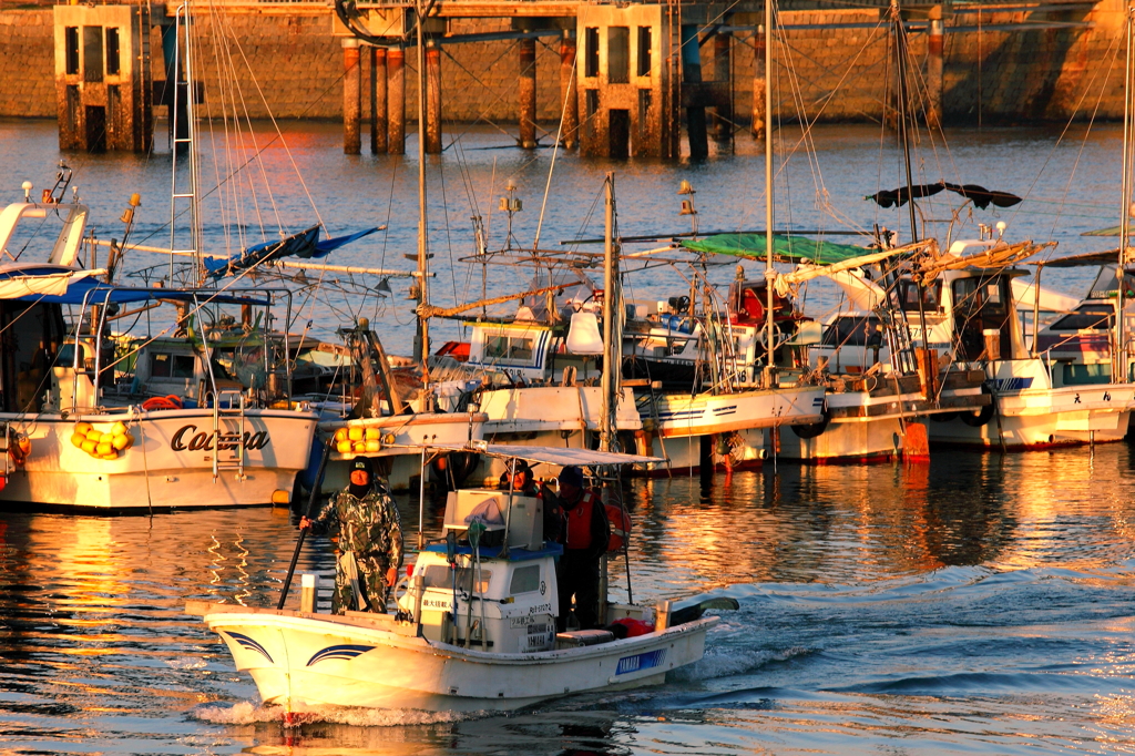 The　Fishermen　in　the Sunset