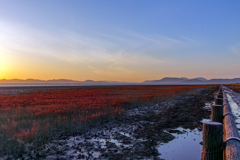 有明海の紅葉　２
