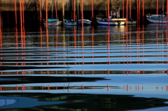 Red Poles & Waves 