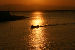 帰港