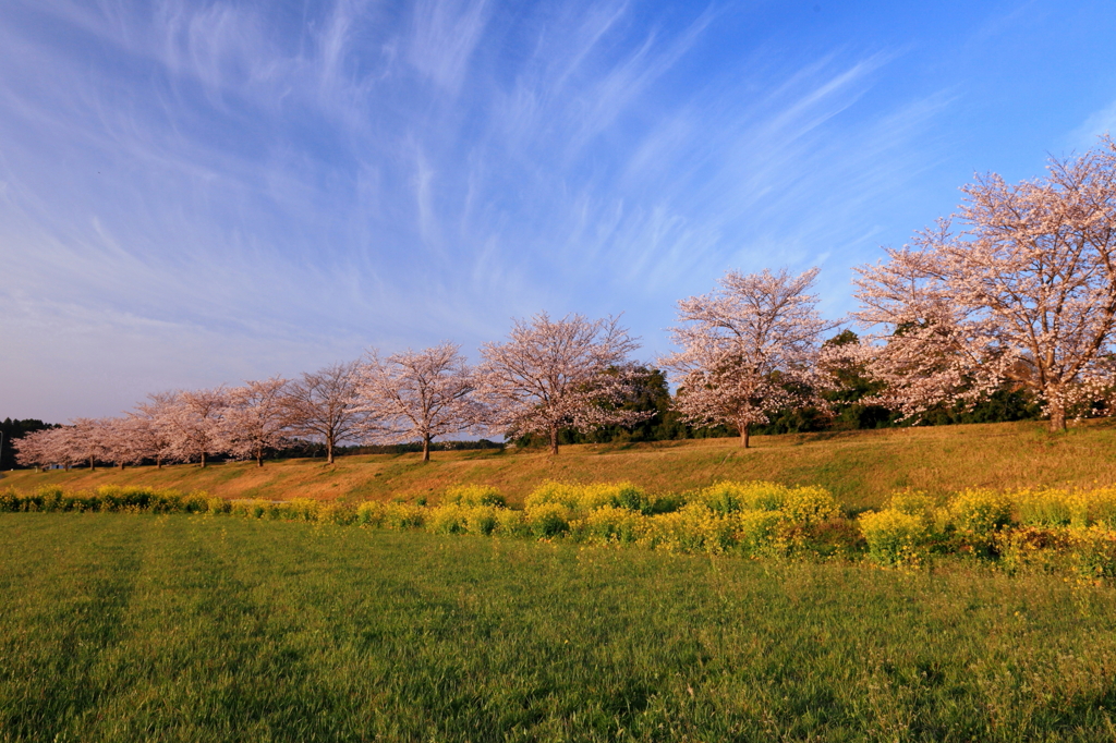 希望の息吹