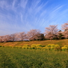 希望の息吹