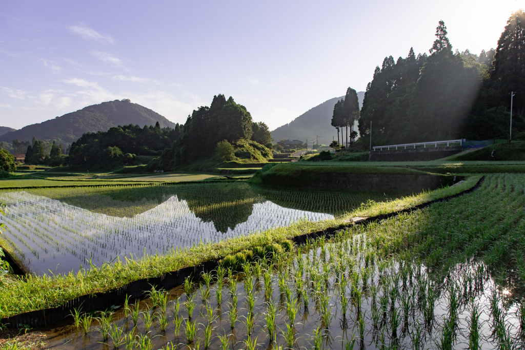 初夏の里山