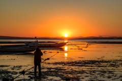 夕映の干潟