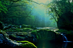 Ｓａｃｒｅｄ　Ｇｒｅｅｎ