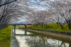 日常が非日常に変わるとき　