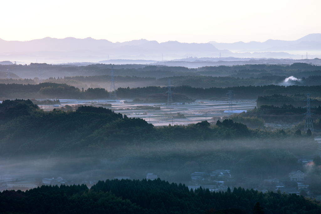 朝靄