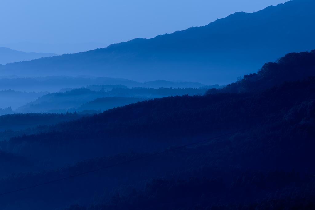 里山の朝　濃淡