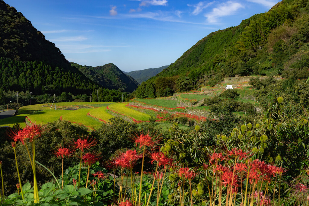 里山の秋